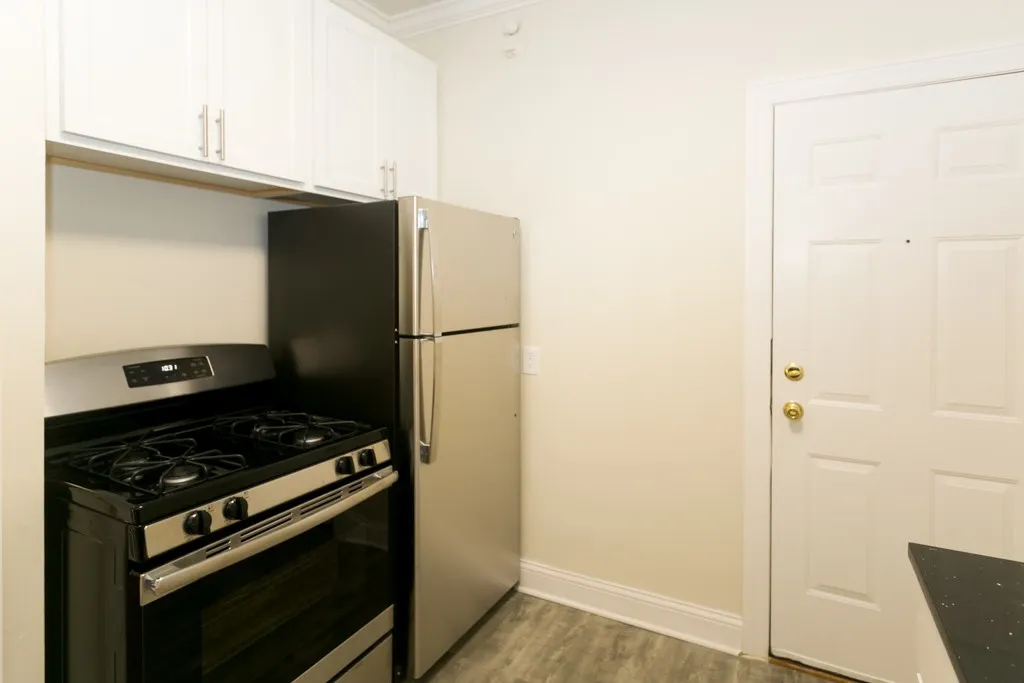 1132 Maple Ave, ,  60202, USA 60202-unit#2-Evanston-IL