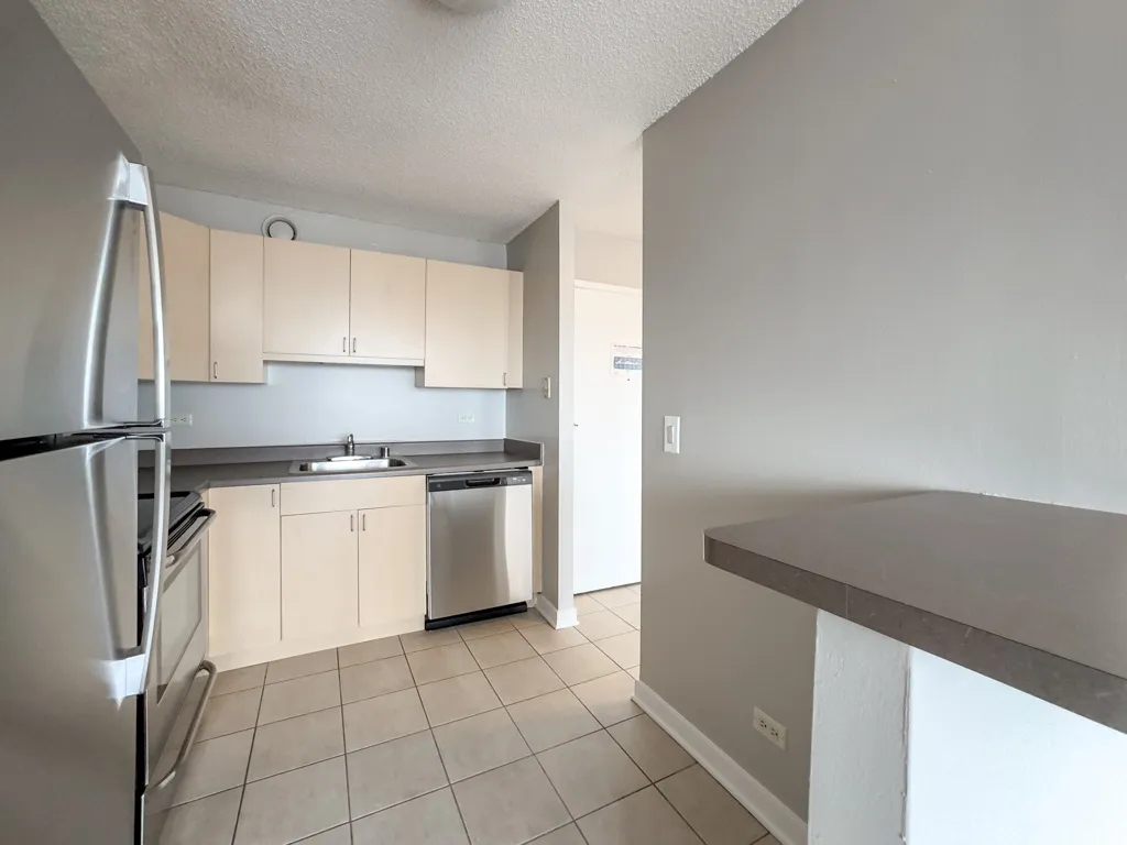 1212 S Michigan Ave, ,  60605, USA 60605-unit#2401-Chicago-IL