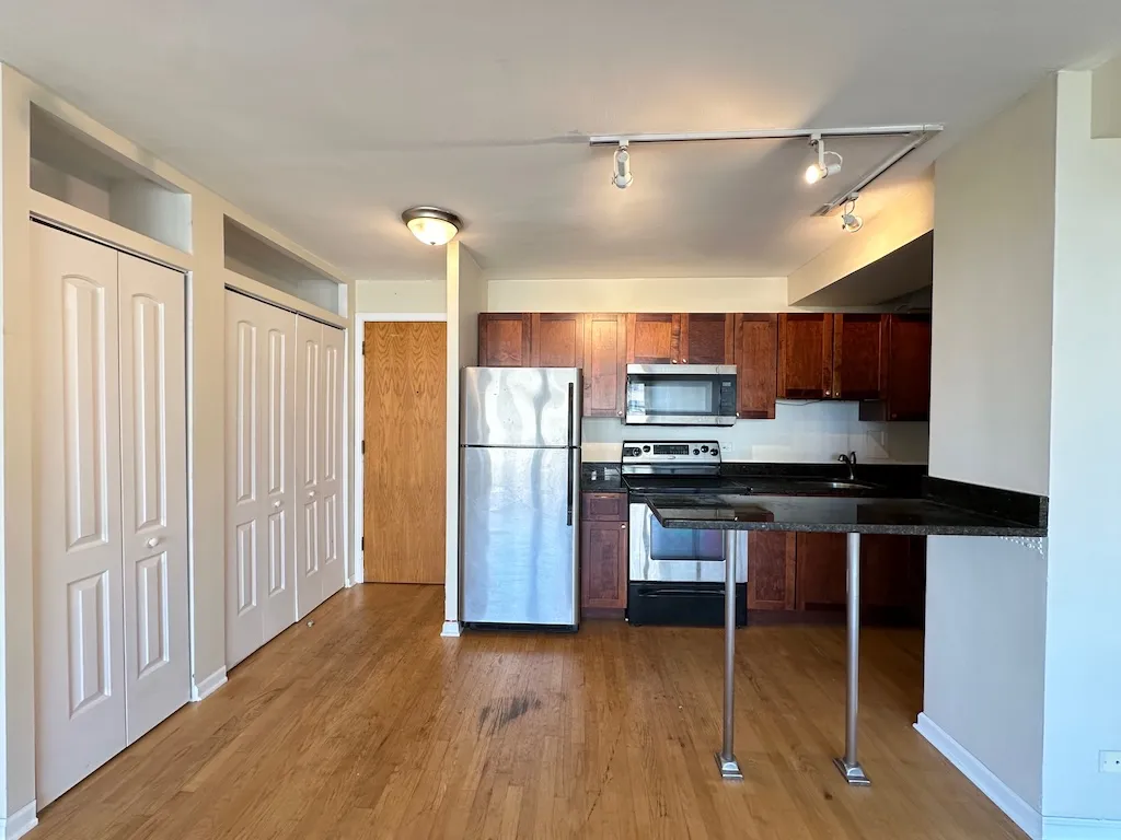 4180 N Marine Dr, , 60613, USA 60613-unit#1010-Chicago-IL