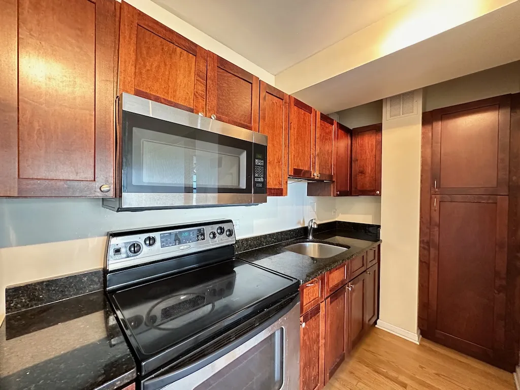 4180 N Marine Dr, , 60613, USA 60613-unit#1010-Chicago-IL