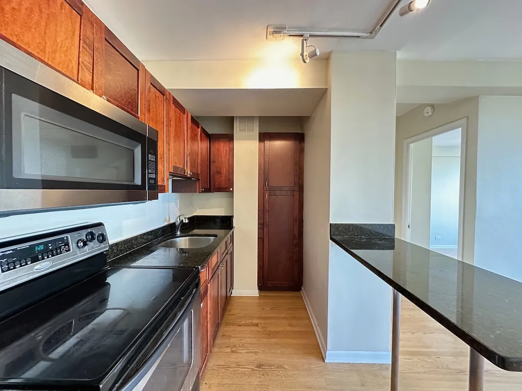 4180 N Marine Dr, , 60613, USA 60613-unit#1010-Chicago-IL