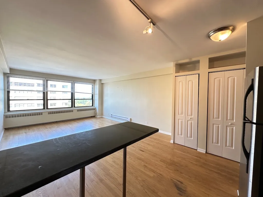 4180 N Marine Dr, , 60613, USA 60613-unit#1010-Chicago-IL