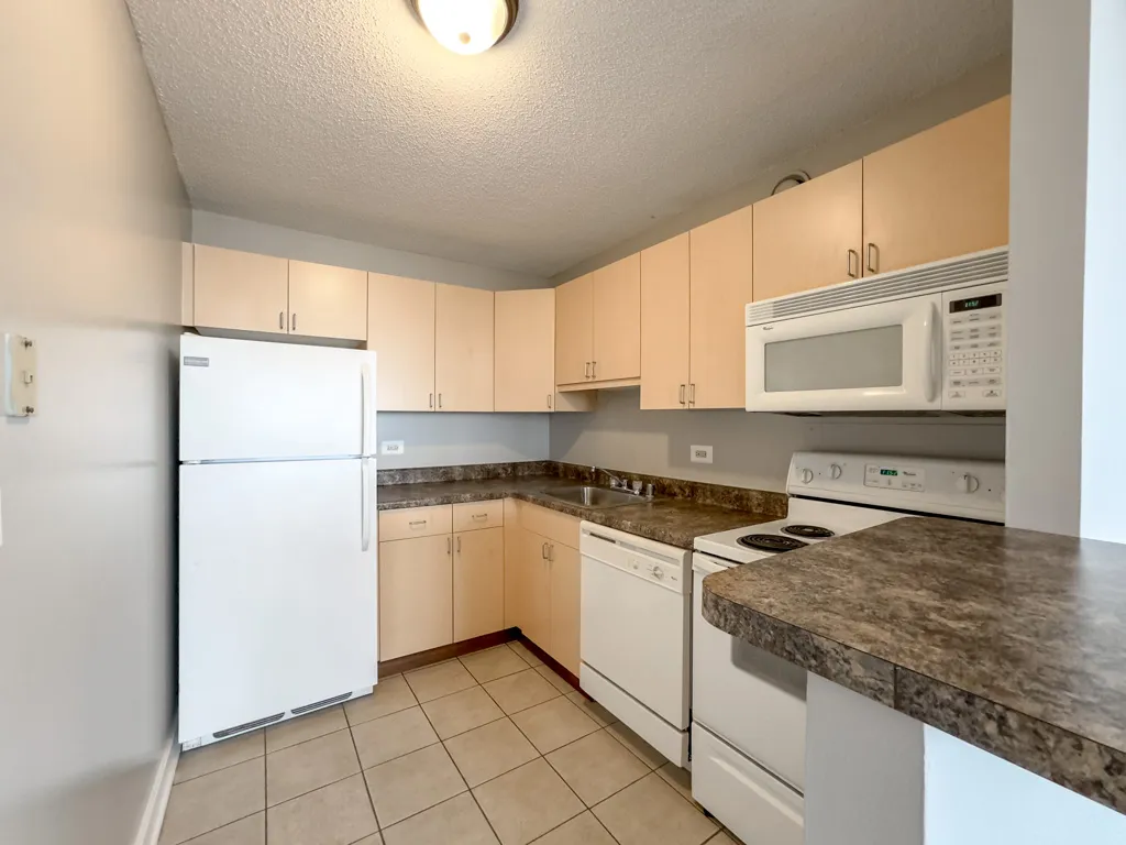 1212 S Michigan Ave, , 60605, USA 60605-unit#2703-Chicago-IL