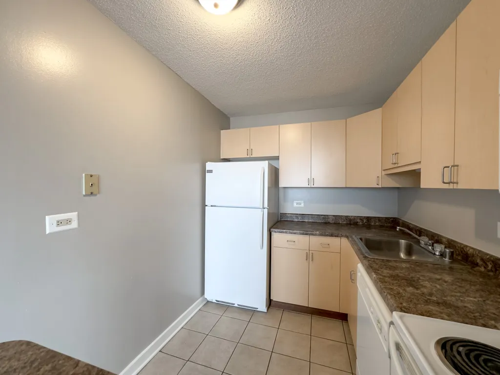 1212 S Michigan Ave, , 60605, USA 60605-unit#2703-Chicago-IL