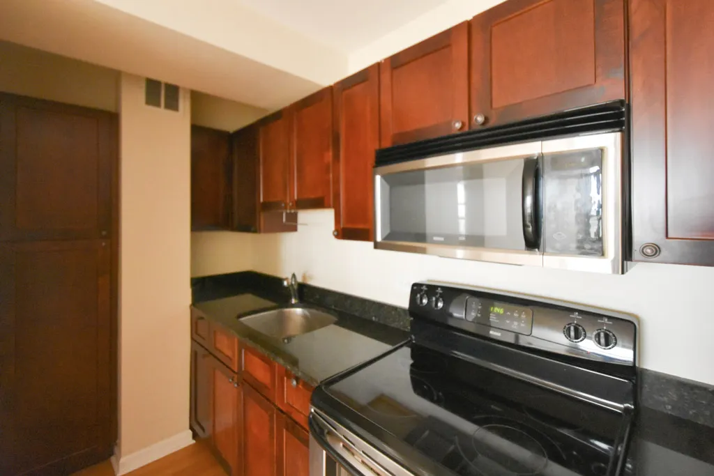 4180 N Marine Dr, , 60613, USA 60613-unit#1409-Chicago-IL