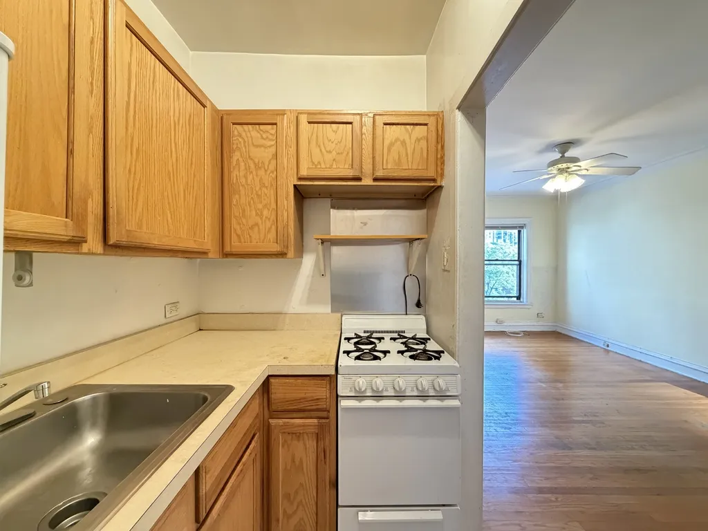 1164 N Dearborn St, , 60610, USA 60610-unit#515-Chicago-IL