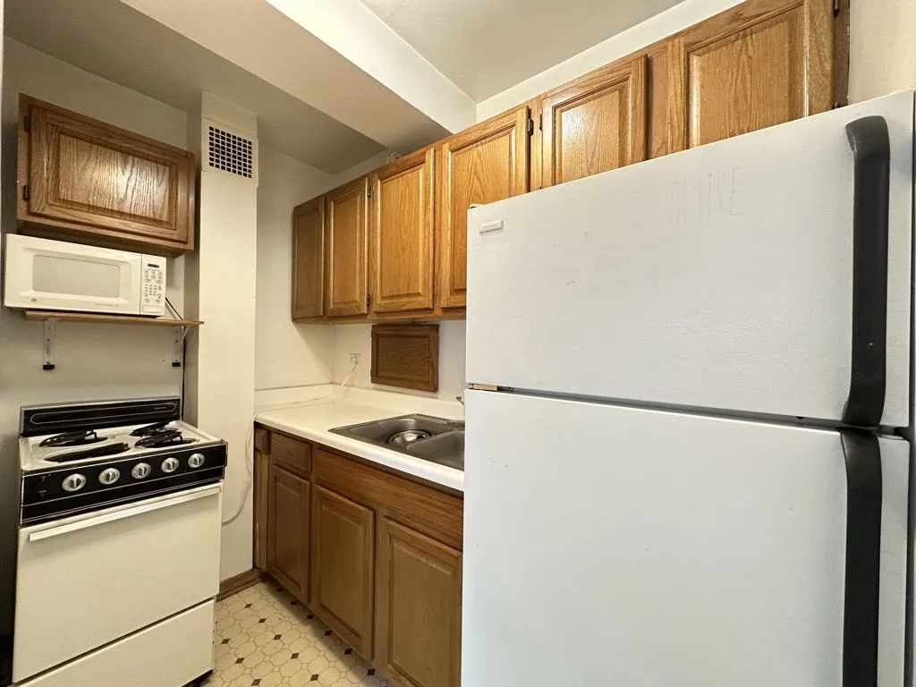 4180 N Marine Dr, , 60613, USA 60613-unit#411-Chicago-IL