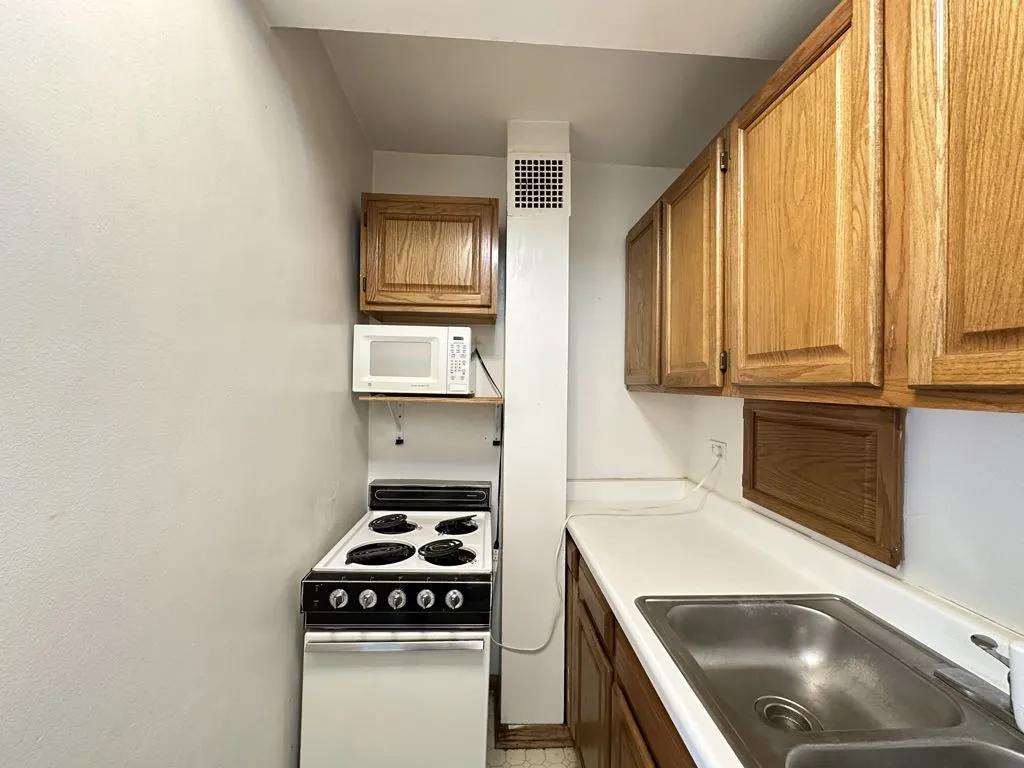 4180 N Marine Dr, , 60613, USA 60613-unit#411-Chicago-IL