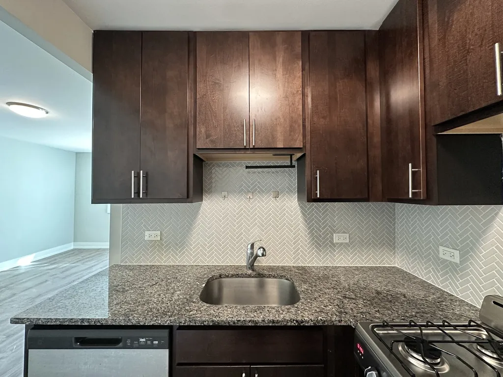 530 W Surf St, ,  60657, USA 60657-unit#517-Chicago-IL
