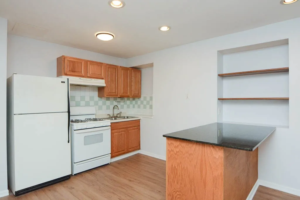 2347 W 24th Pl, ,  60608, USA 60608-unit#GF-Chicago-IL