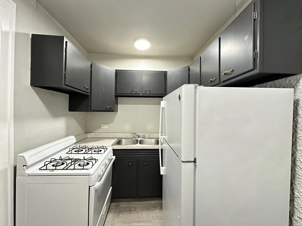 1347 N Dearborn St, ,  60610, USA 60610-unit#506-Chicago-IL