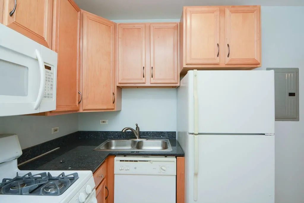 2922 N Sacramento Ave, , 60618, USA 60647-unit#1-Chicago-IL