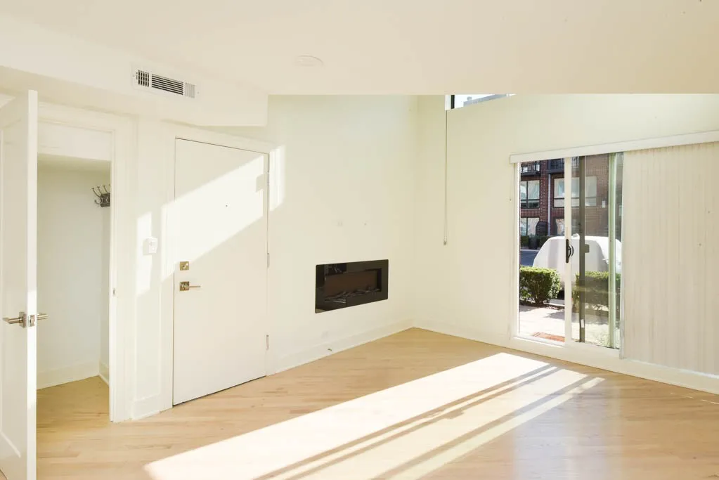 954 W Grace St, ,  60613, USA 60613-unit#C101-Chicago-IL