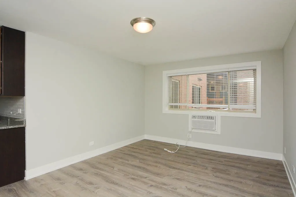 530 W Surf St, ,  60657, USA 60657-unit#420-Chicago-IL