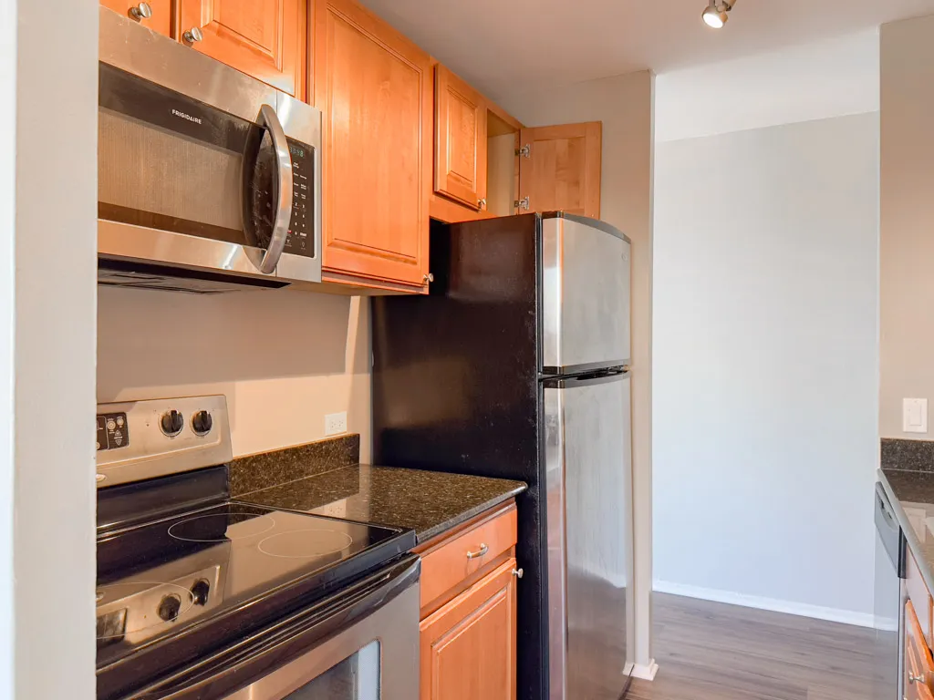 4334 N Hazel St, ,  60613, USA 60613-unit#1516-Chicago-IL