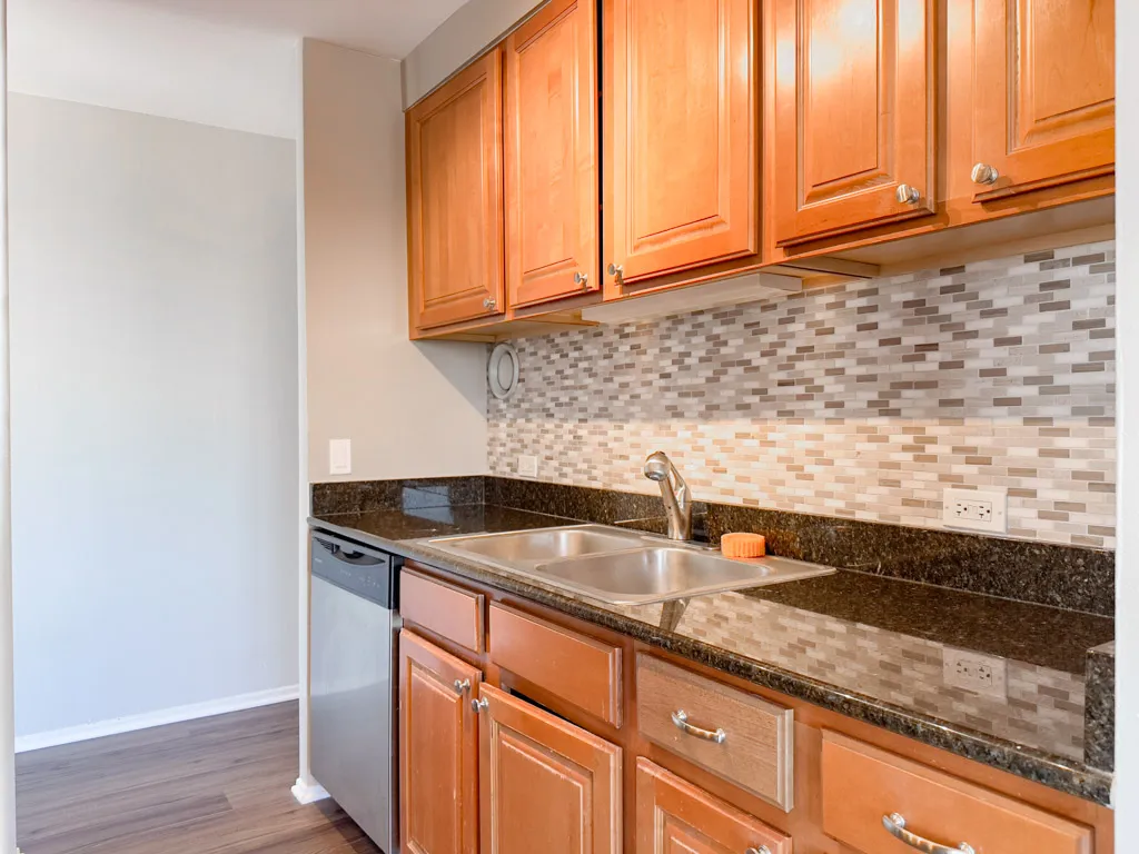 4334 N Hazel St, ,  60613, USA 60613-unit#1516-Chicago-IL