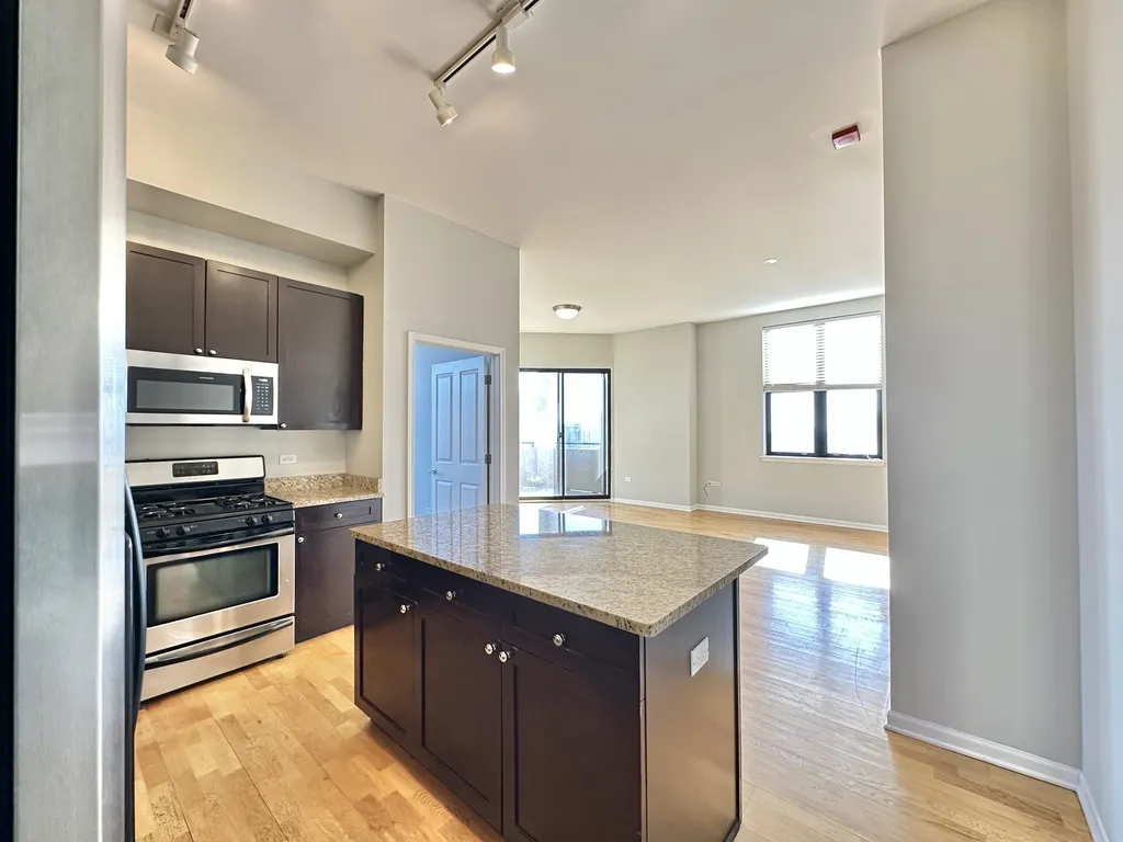1464 S Michigan Ave, ,  60605, USA 60605-unit#2004-Chicago-IL