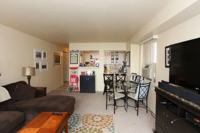 3950 N Lake Shore Dr, ,  60613, USA 60613-unit#1012C-Chicago-IL