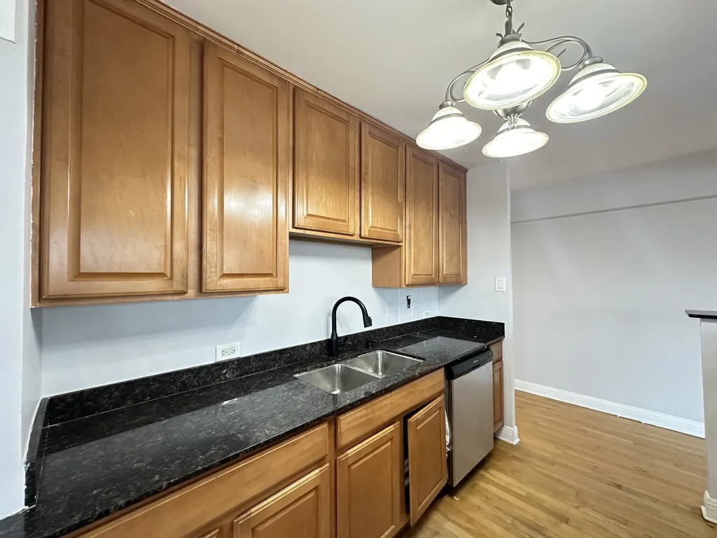 4180 N Marine Dr, ,  60613, USA 60613-unit#205-Chicago-IL