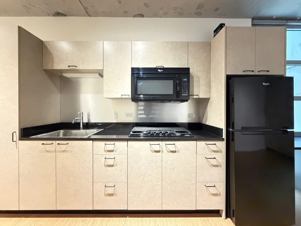 1515 N Fremont St, ,  60642, USA 60642-unit#214-Chicago-IL