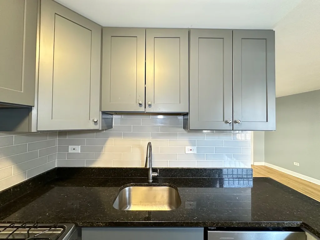 663 W Grace St, , 60613, USA 60613-unit#103-Chicago-IL