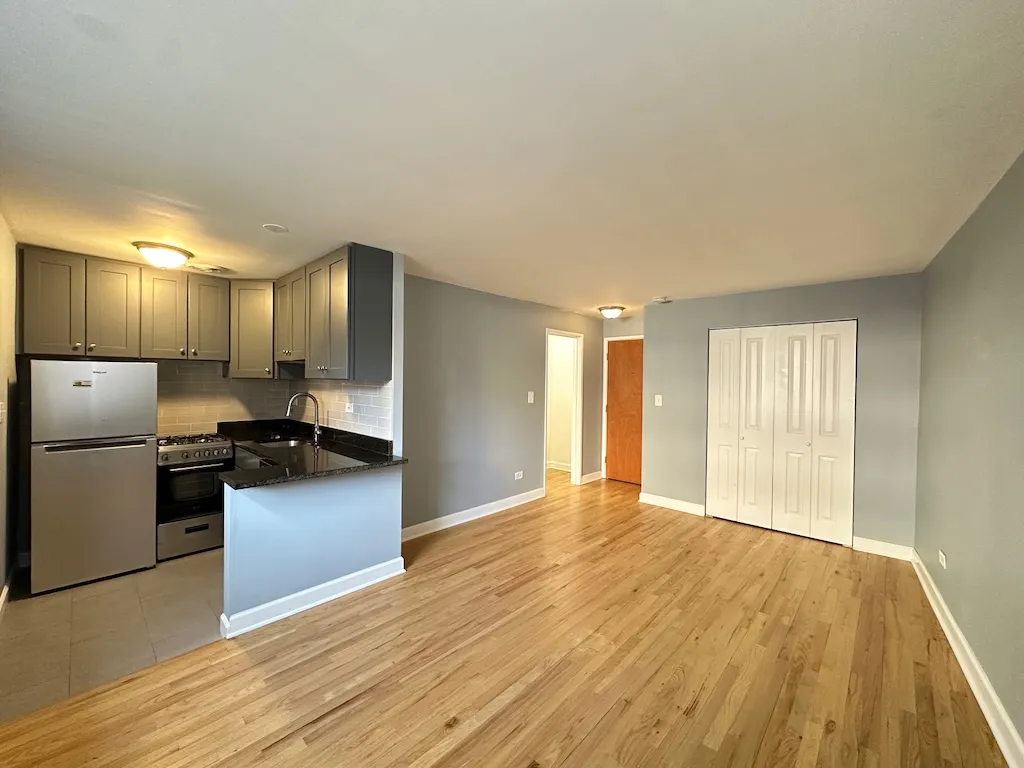 663 W Grace St, , 60613, USA 60613-unit#103-Chicago-IL
