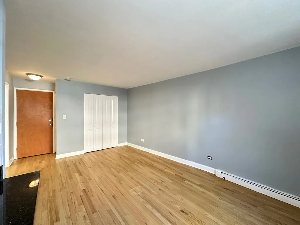 663 W Grace St, , 60613, USA 60613-unit#103-Chicago-IL
