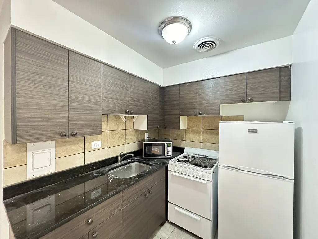 1515 W Morse Ave, , 60626, USA 60626-unit#203-Chicago-IL