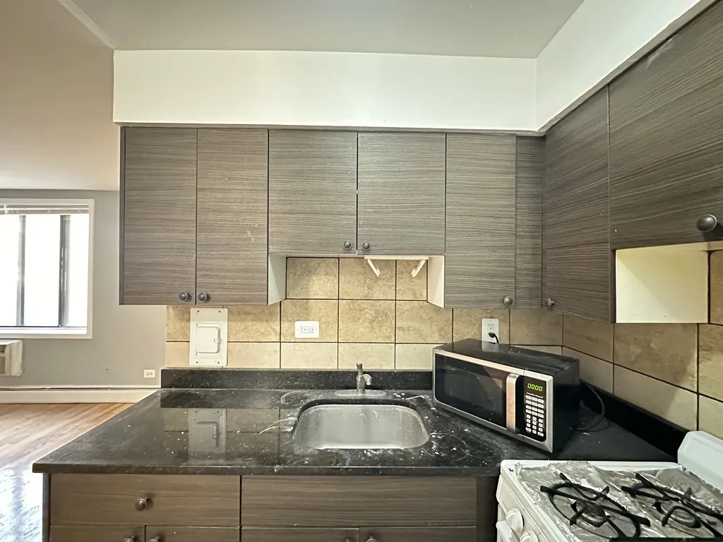 1515 W Morse Ave, , 60626, USA 60626-unit#203-Chicago-IL