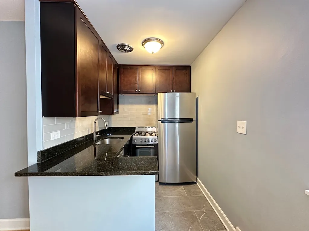 663 W Grace St, ,  60613, USA 60613-unit#413-Chicago-IL