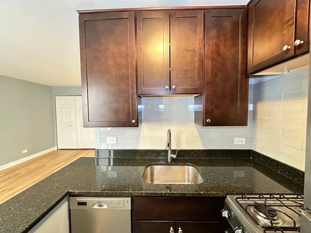 663 W Grace St, ,  60613, USA 60613-unit#413-Chicago-IL