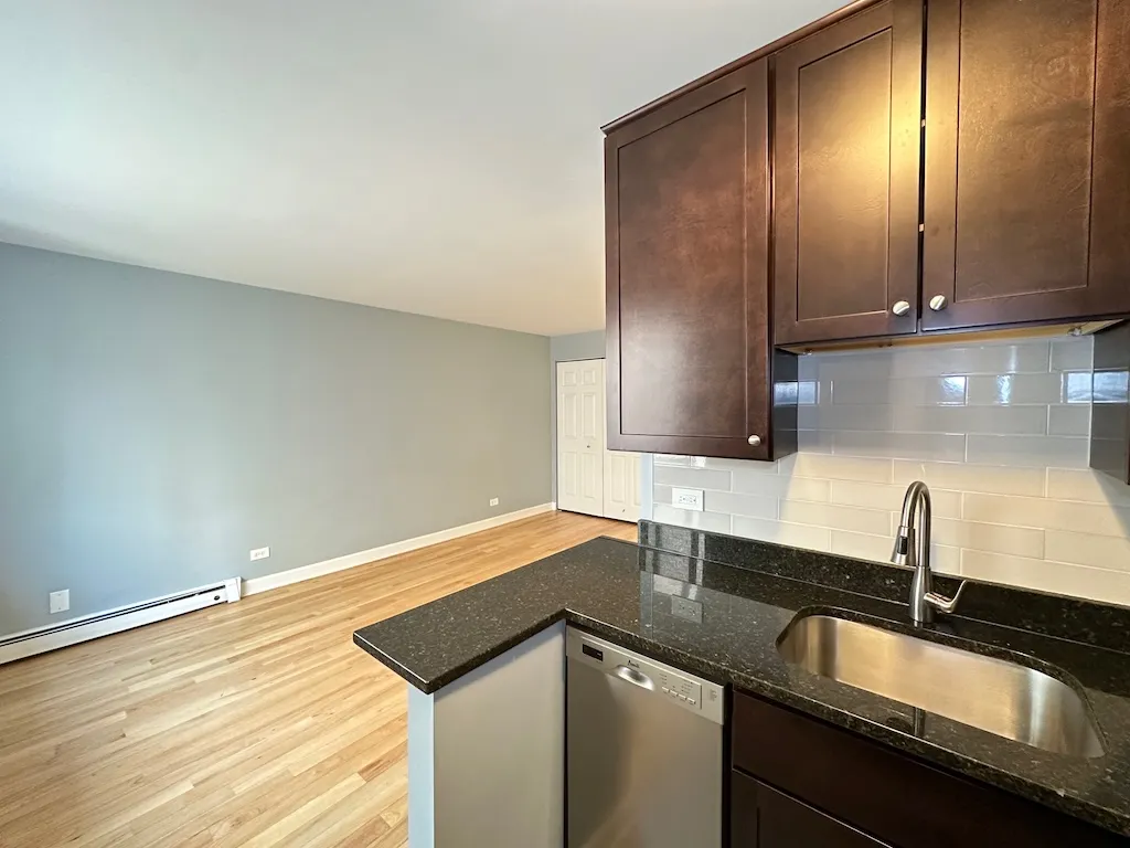 663 W Grace St, ,  60613, USA 60613-unit#413-Chicago-IL
