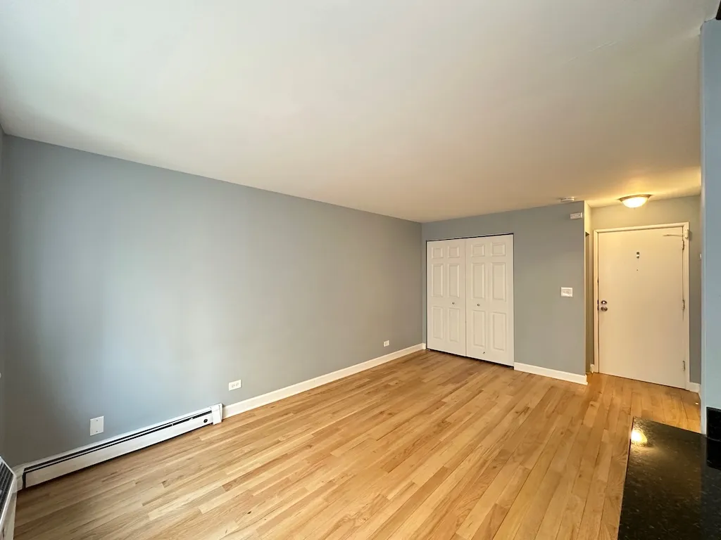 663 W Grace St, ,  60613, USA 60613-unit#413-Chicago-IL