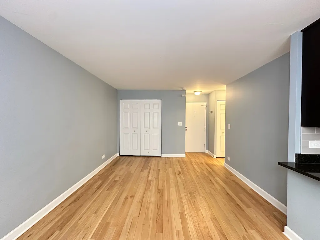 663 W Grace St, ,  60613, USA 60613-unit#413-Chicago-IL