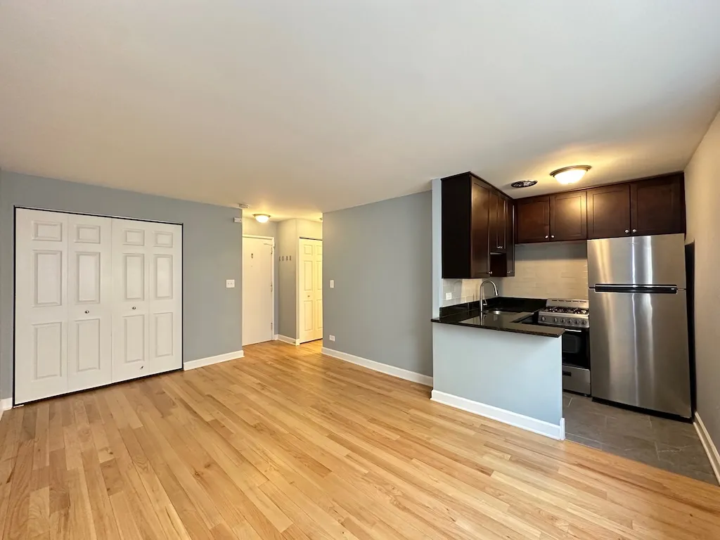 663 W Grace St, ,  60613, USA 60613-unit#413-Chicago-IL