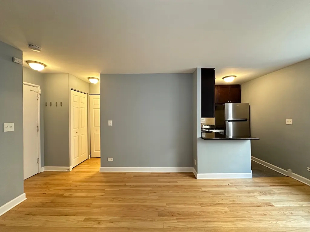 663 W Grace St, ,  60613, USA 60613-unit#413-Chicago-IL