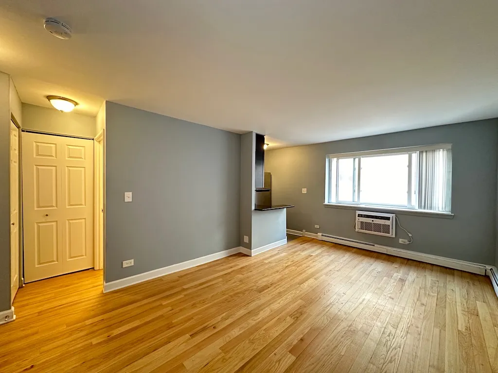 663 W Grace St, ,  60613, USA 60613-unit#413-Chicago-IL