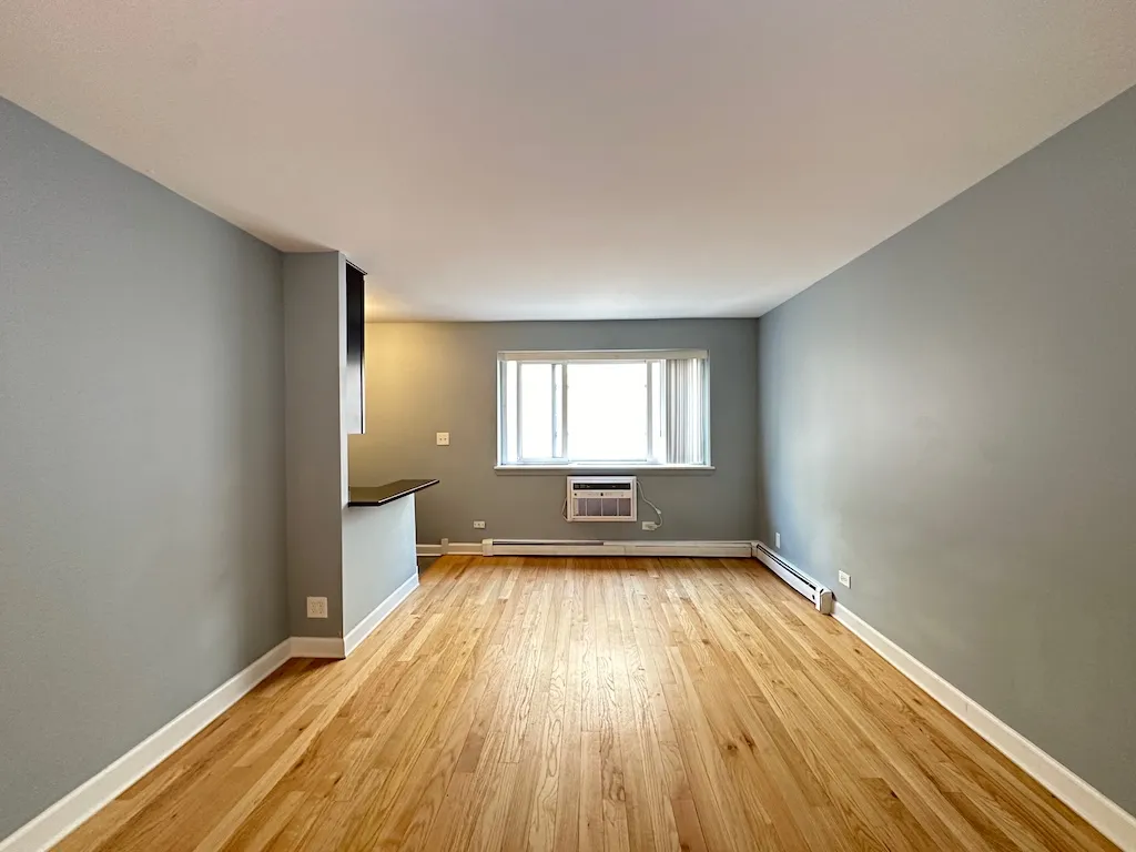 663 W Grace St, ,  60613, USA 60613-unit#413-Chicago-IL