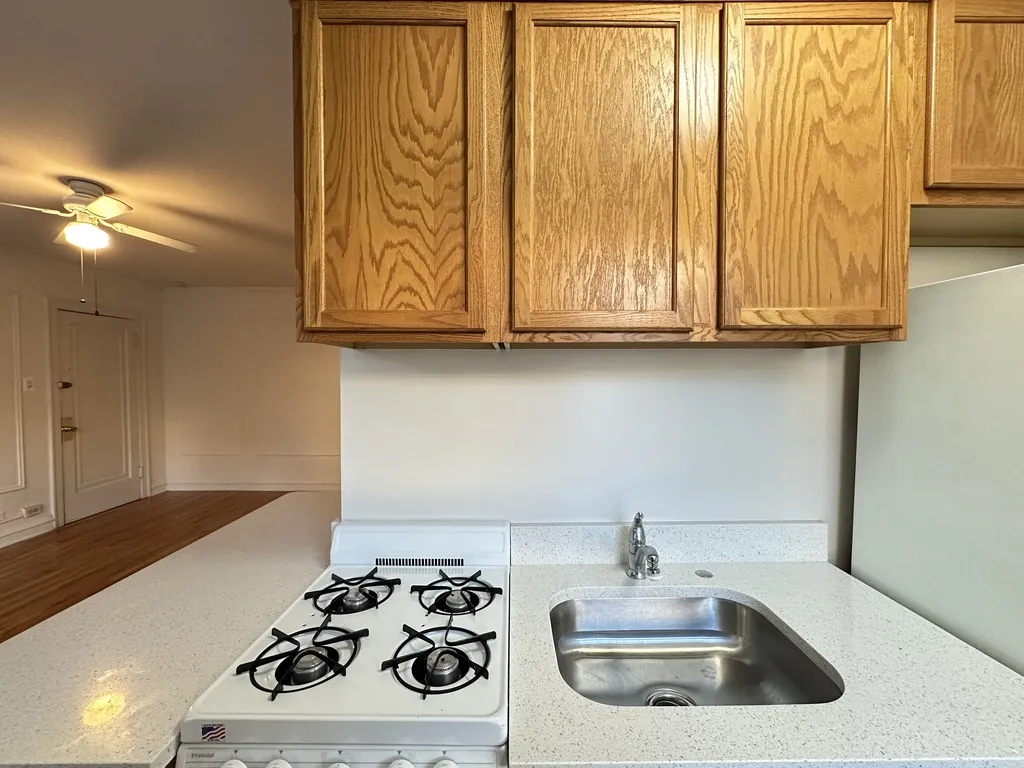 4531 N Ashland Ave, ,  60640, USA 60640-unit#111-Chicago-IL