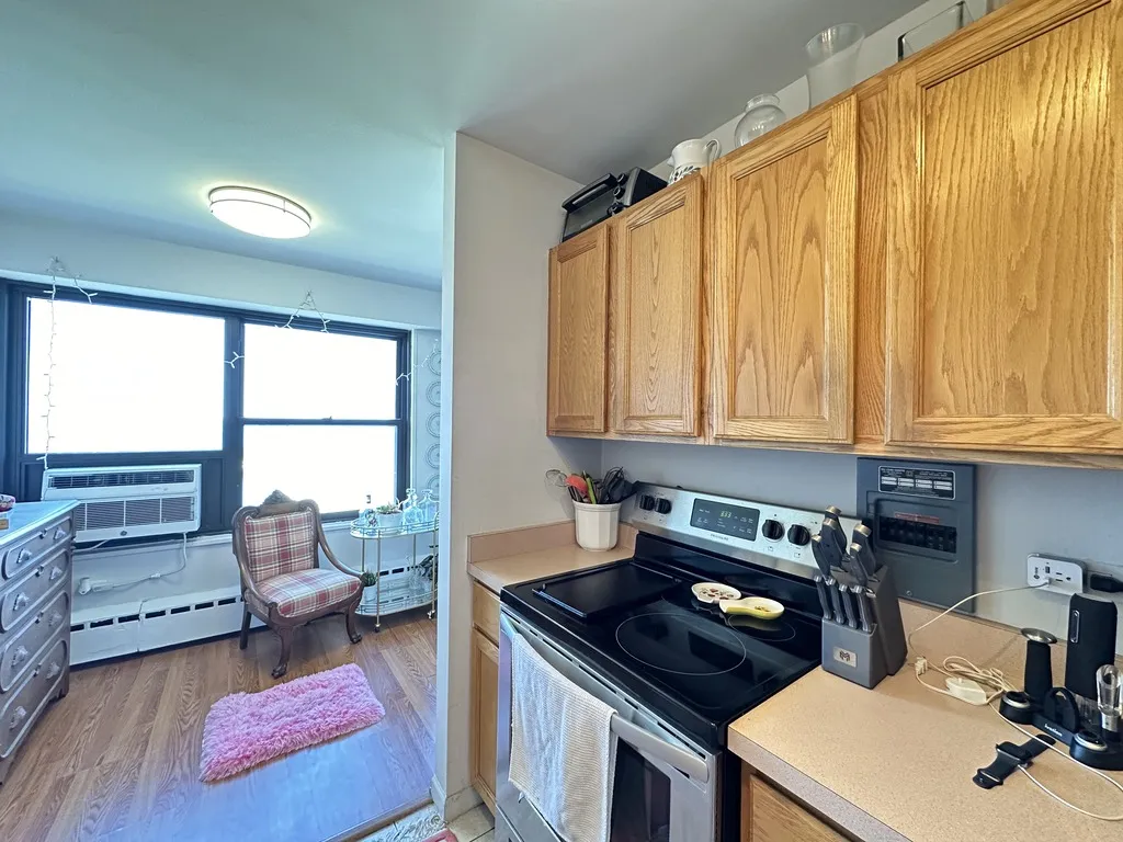 3410 N Lake Shore Dr, , 60657, USA 60657-unit#12F-Chicago-IL