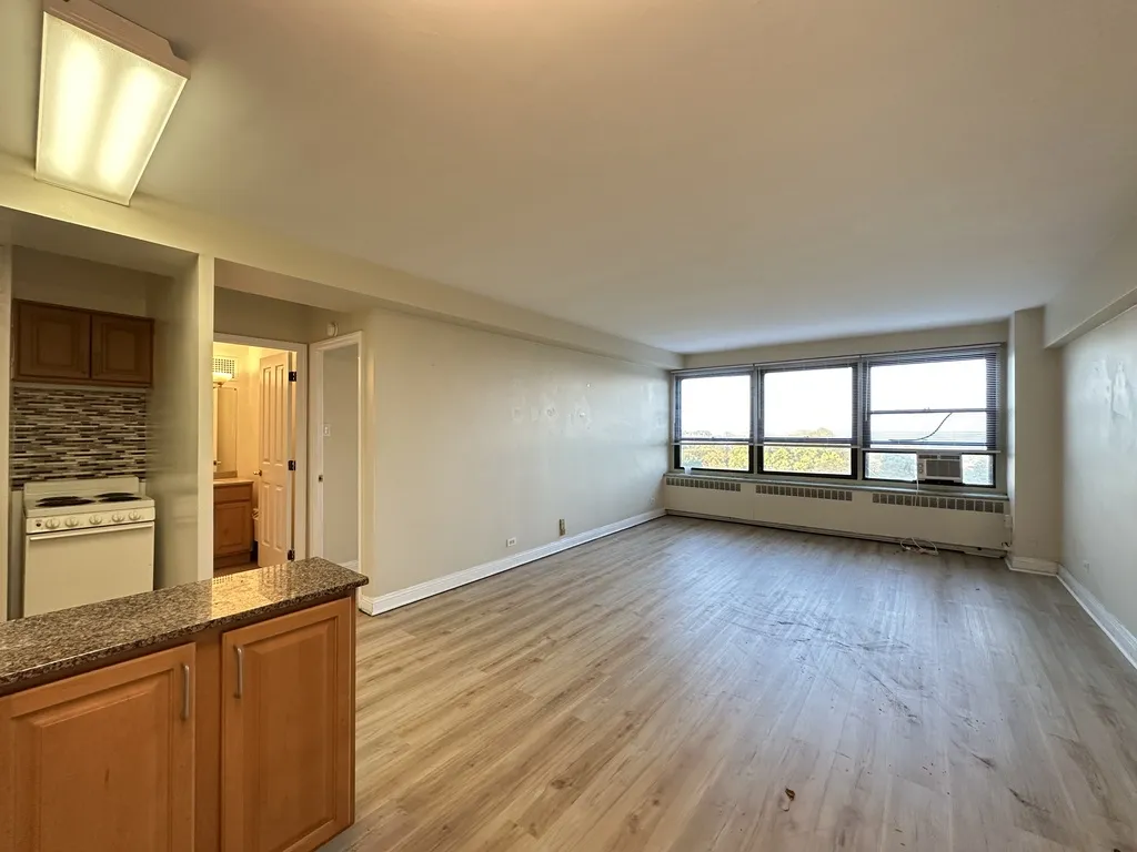 4180 N Marine Dr, ,  60613, USA 60613-unit#1007-Chicago-IL