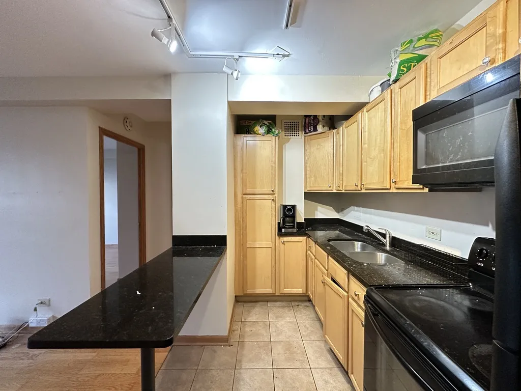 4180 N Marine Dr, ,  60613, USA 60613-unit#1311-Chicago-IL