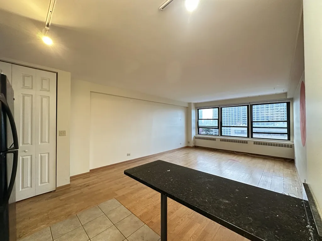 4180 N Marine Dr, , 60613, USA 60613-unit#1311-Chicago-IL