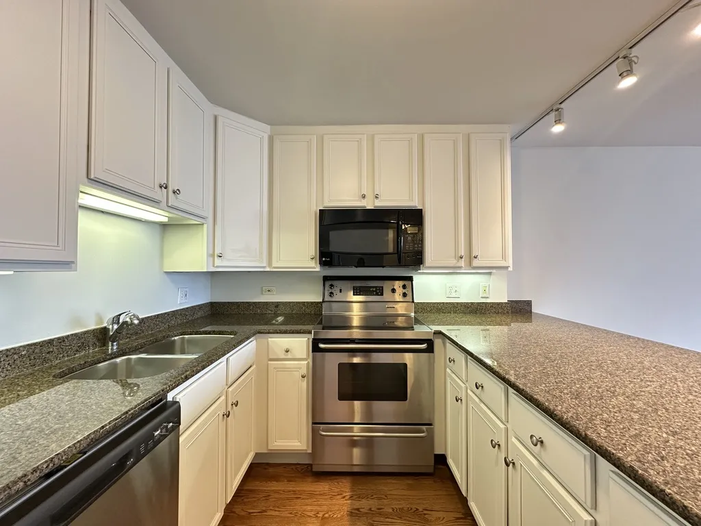 1344 N Dearborn St, ,  60610, USA 60610-unit#17G-Chicago-IL