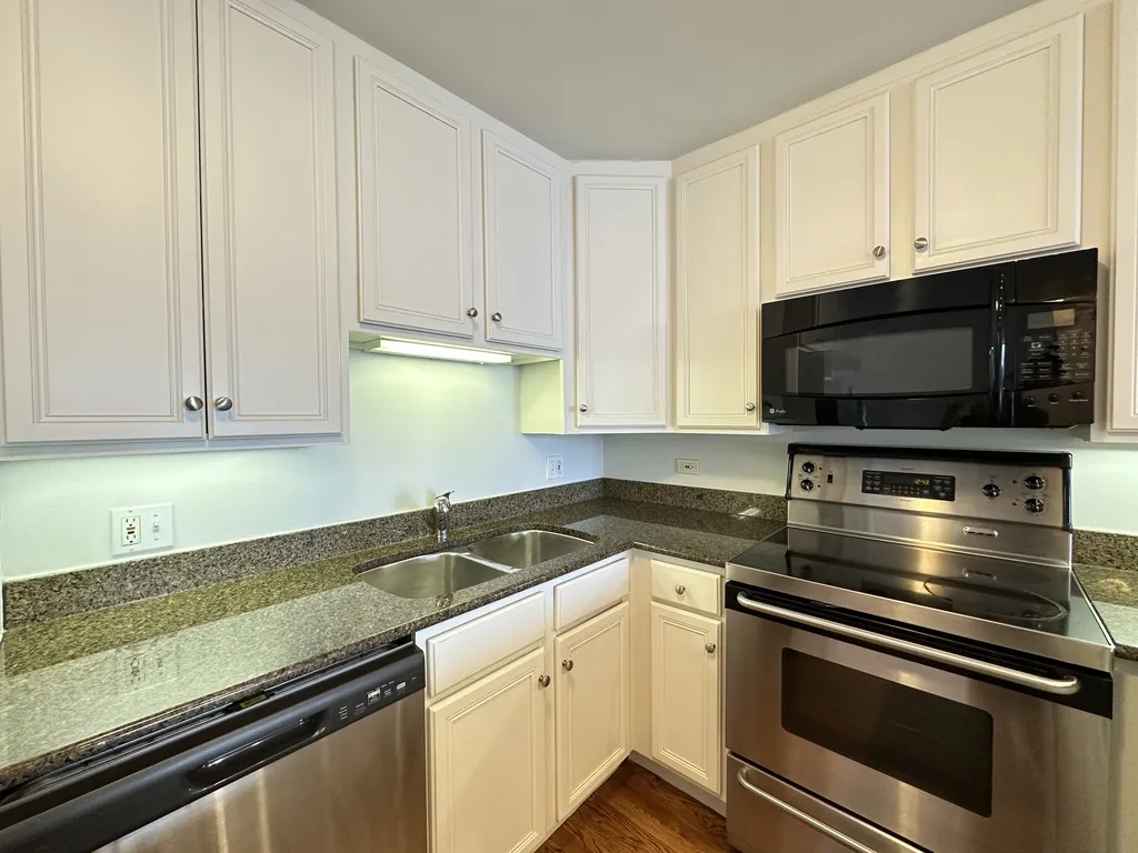 1344 N Dearborn St, ,  60610, USA 60610-unit#17G-Chicago-IL