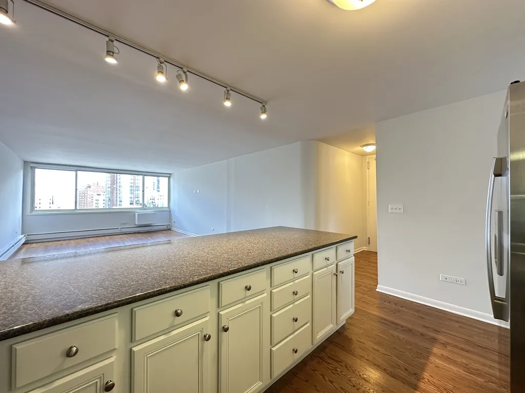 1344 N Dearborn St, ,  60610, USA 60610-unit#17G-Chicago-IL