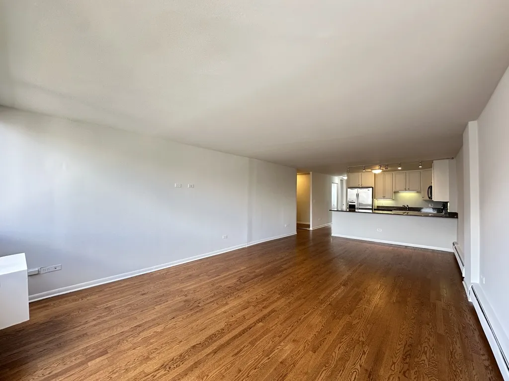 1344 N Dearborn St, ,  60610, USA 60610-unit#17G-Chicago-IL