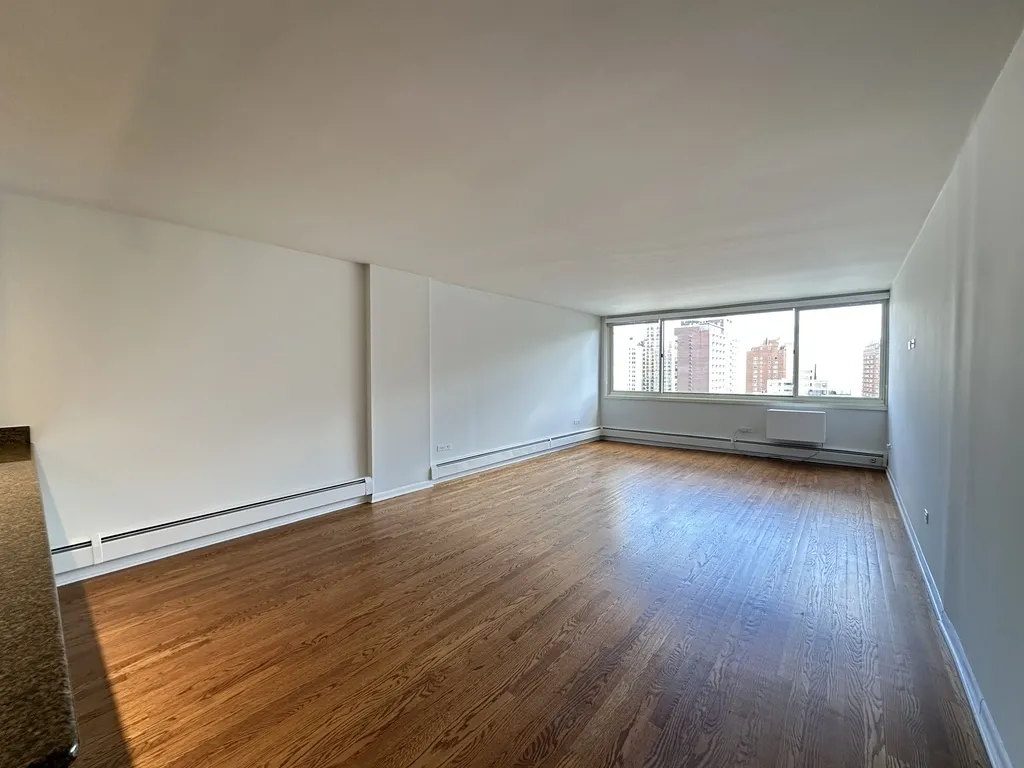 1344 N Dearborn St, ,  60610, USA 60610-unit#17G-Chicago-IL