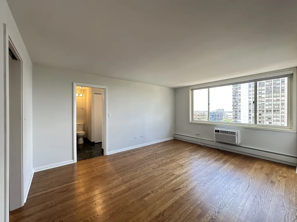 1344 N Dearborn St, ,  60610, USA 60610-unit#17G-Chicago-IL