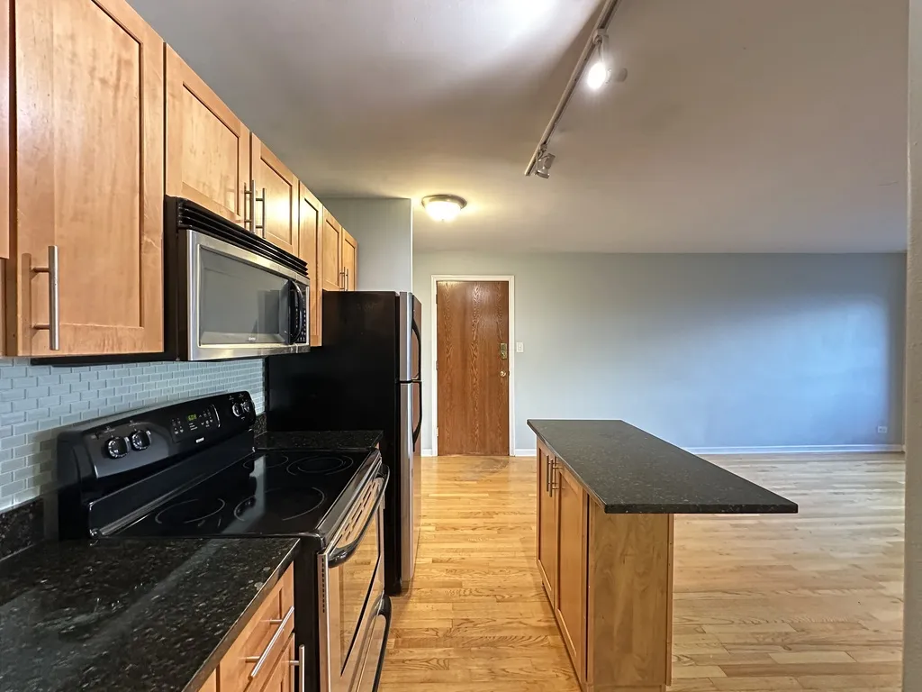 4180 N Marine Dr, , 60613, USA 60613-unit#1608-Chicago-IL